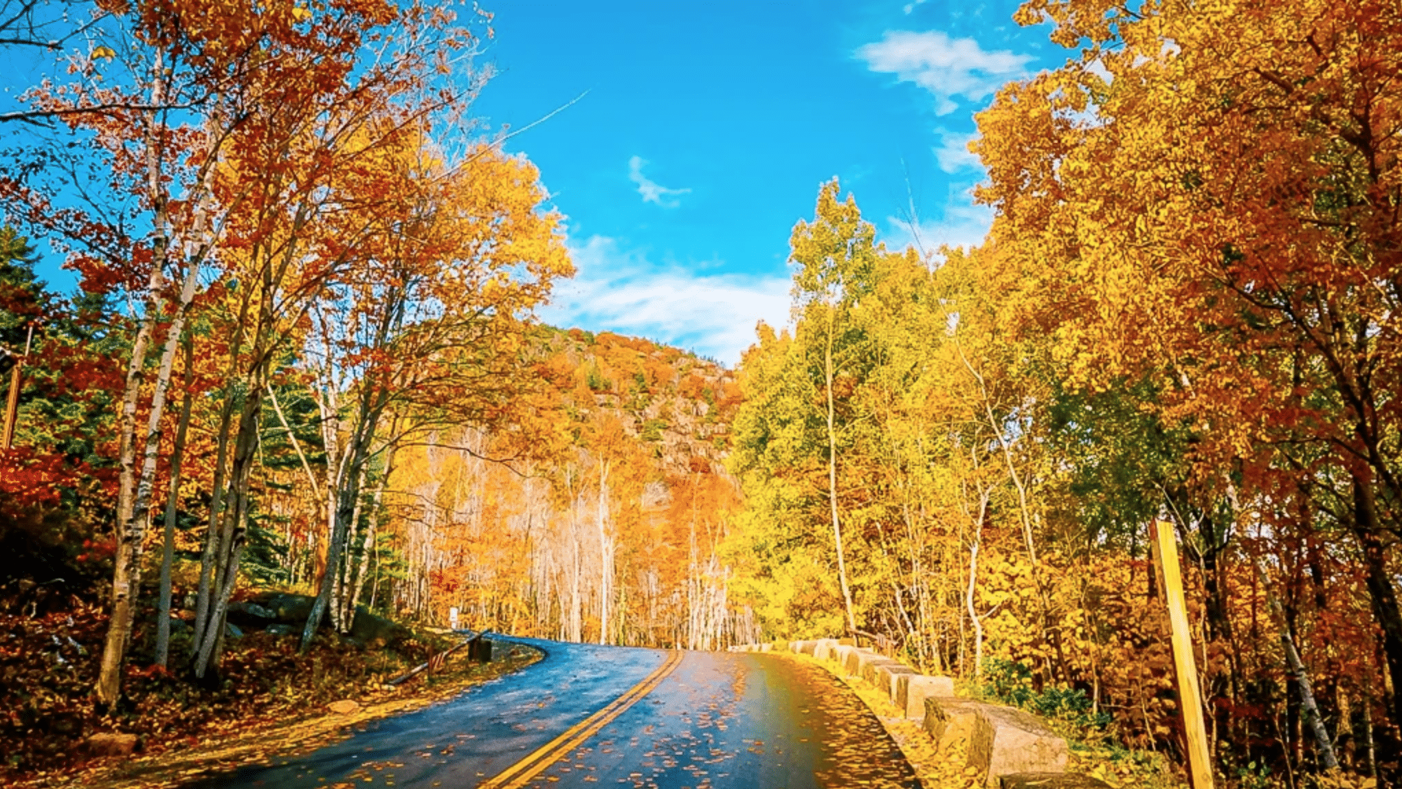 Acadia National Park Indian summer Park Loop Road