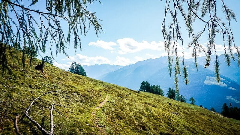 Ausblick auf das Mölltal und die Hohen Tauern Alpe Adria Trail Etappe 4