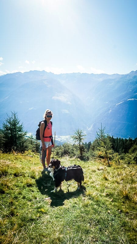 Vandogblog unterwegs im Mölltal mit Hund Skye