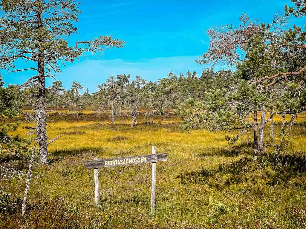 Dalarna - Wandern am Fjortasjömossen im Gyllbergen Naturreservat bei Borlänge