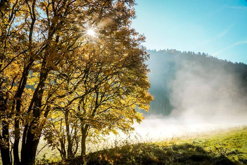 Herbstlicher Morgennebel beim Wandern auf dem Lieserpfad von Daun nach Manderscheid