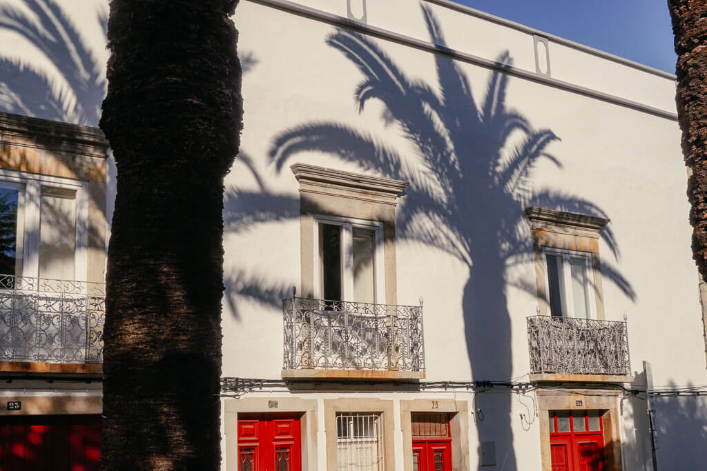 Häuserfassade mit Palmen in Tavira an der Algarve