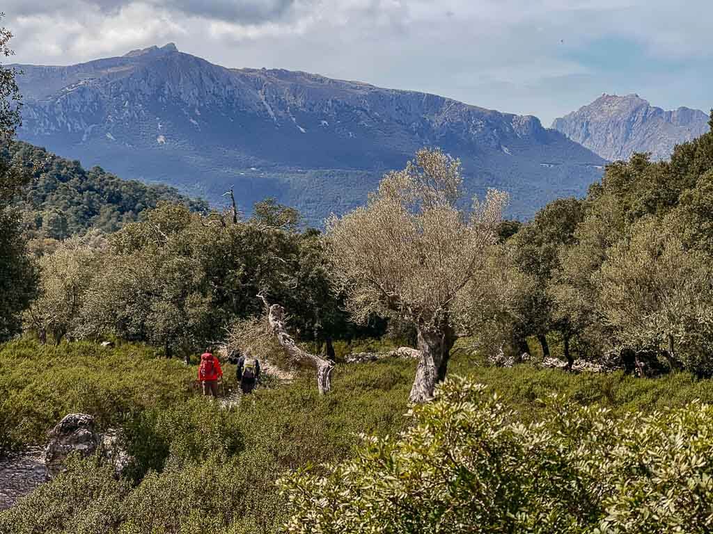 Typische Berglandschaft in der Serra de Tramuntana