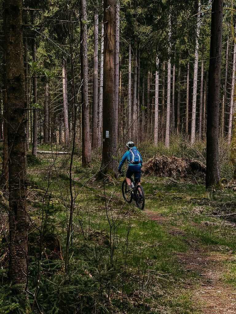 Mountainbiken auf Waldpfaden im Frankenwald