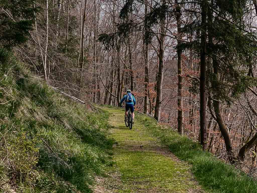 Mountainbiken im Frankenwald auf Wald- und Wiesenwegen