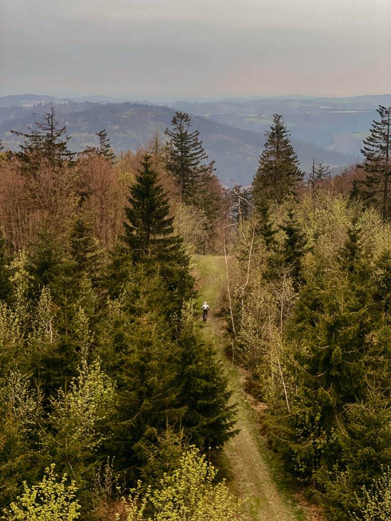 Panorama und Waldweg vom Aussichtsturm am Döbraberg