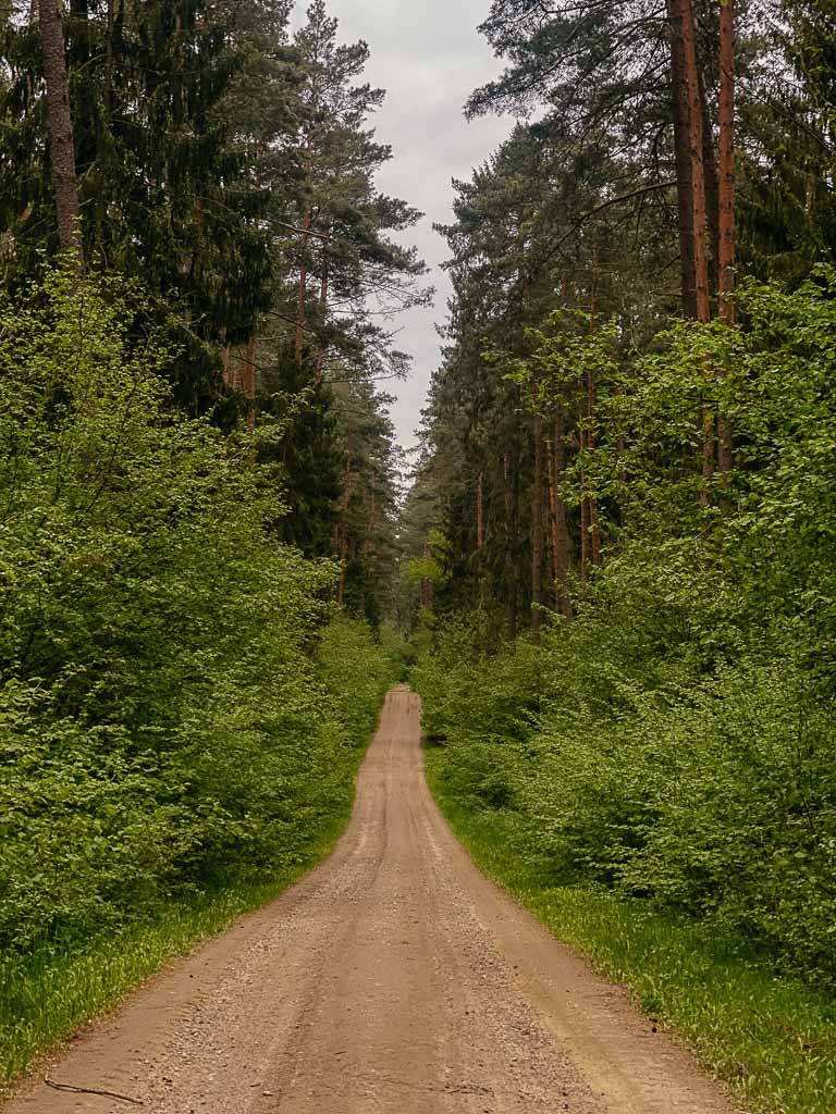 Masuren-Forstwege zum Radfahren im Wald bei Krutyn