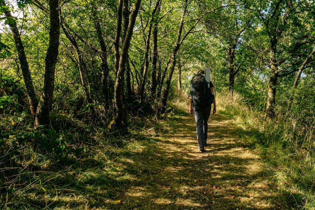 Packraft Trail Luxemburg - Wanderweg durch den Wald