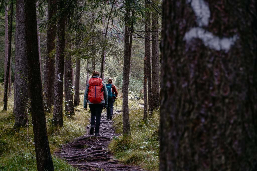 Lechweg - Wandern auf einem Waldpfad mit Couchflucht und Abenteuermomente