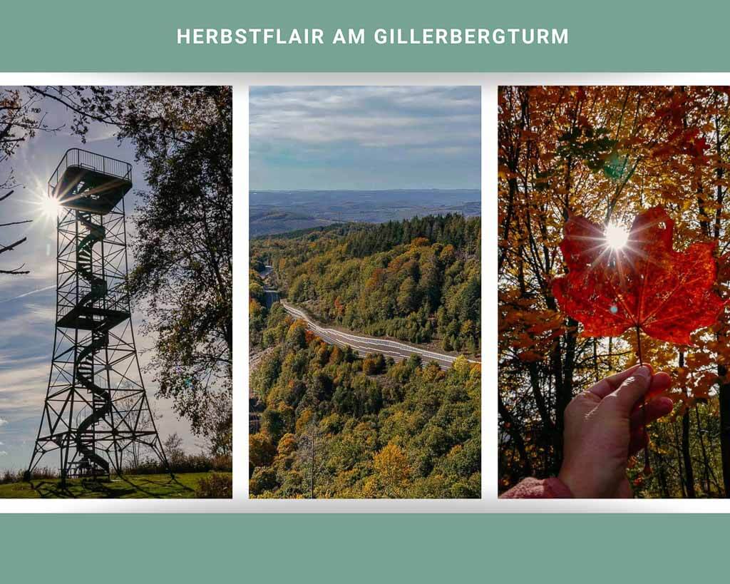 Rothaarsteig - Ausblick vom Gillerbergturm in Siegen-Wittgenstein