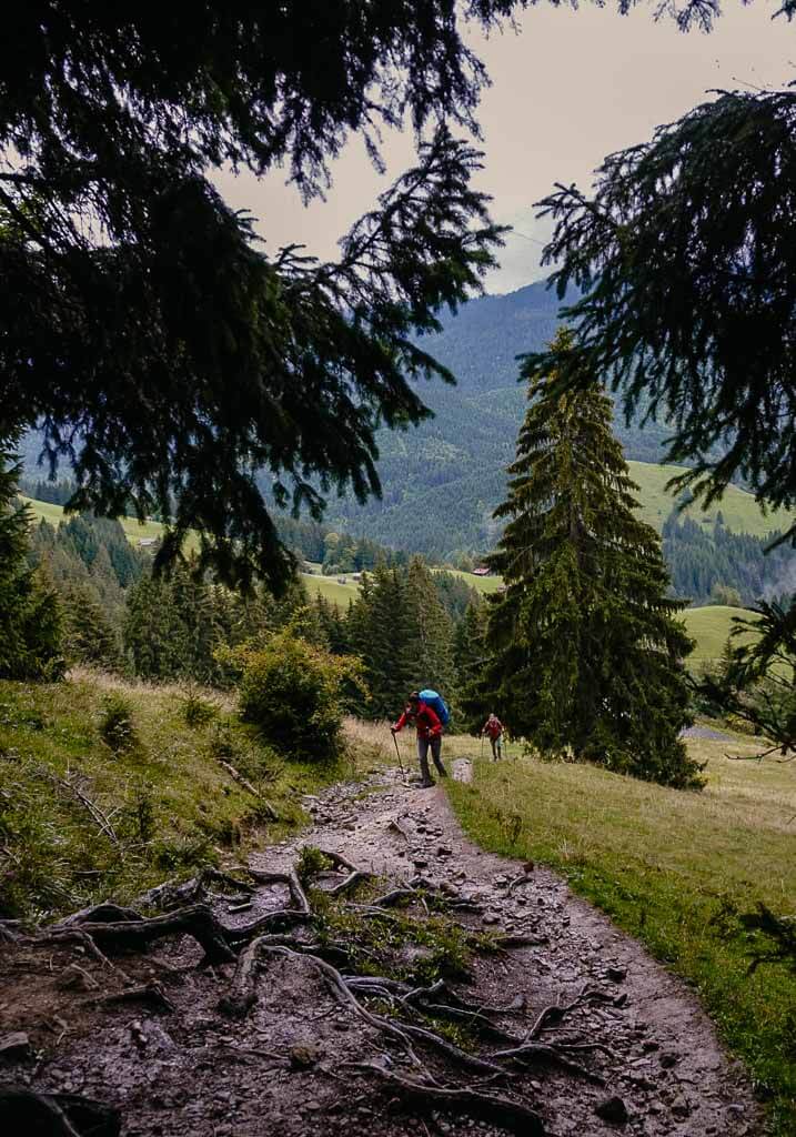Wandertrilogie Allgäu - Wurzeliger Waldpfad von Burgberg zum Grünten