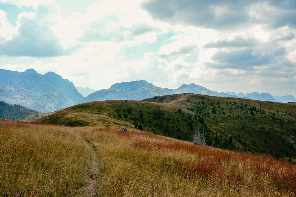 Peaks of the Balkans - Wiesenweg zwischen Plav und Vusanje