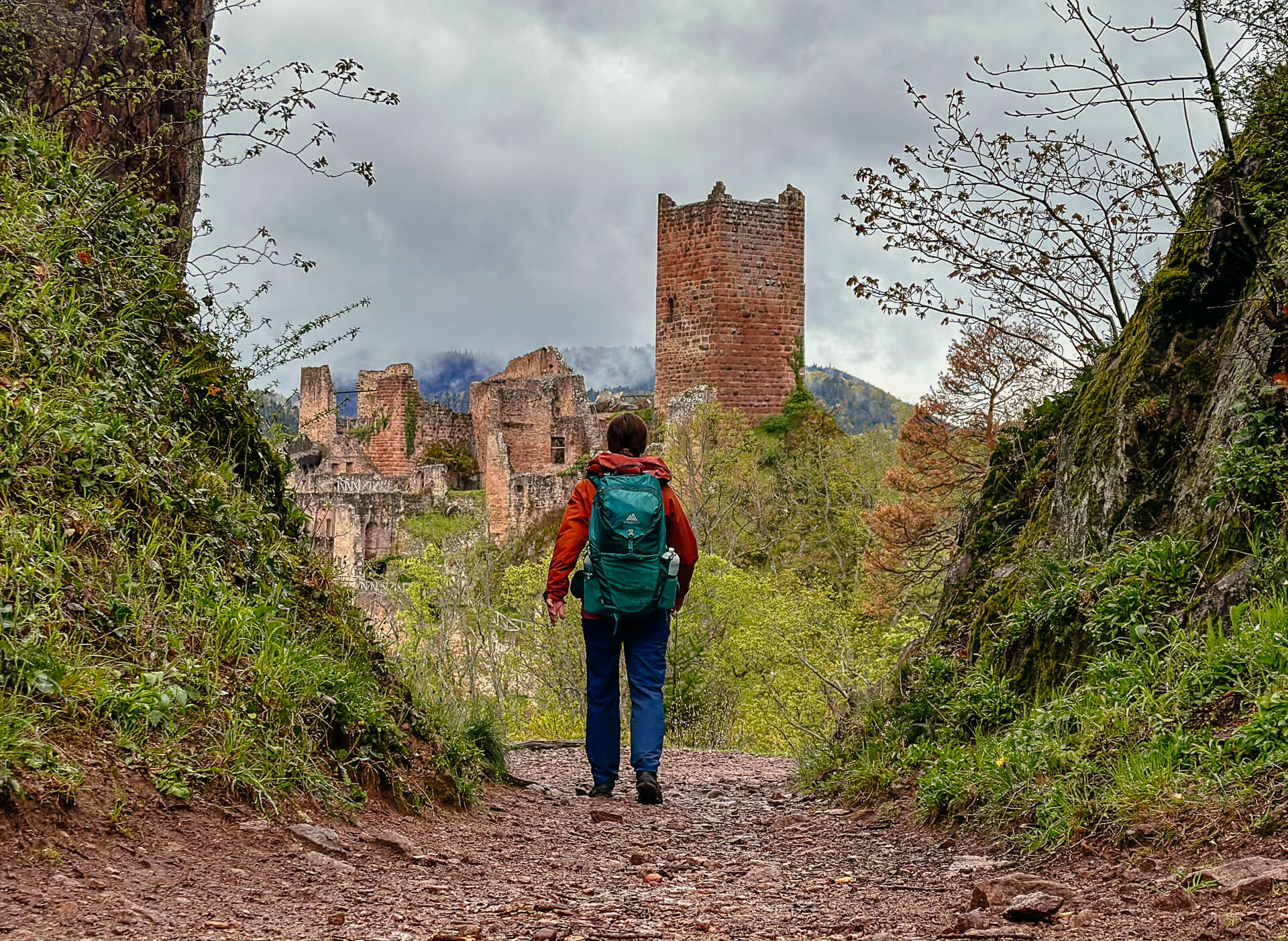 Elsass wandern zur Ulrichsburg in Ribeauvillé