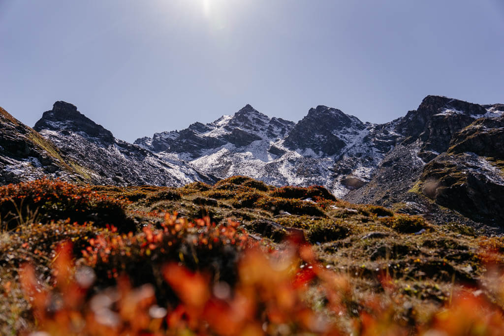 Herbstliche Bergwelt im Montafon am Valzifenzjoch