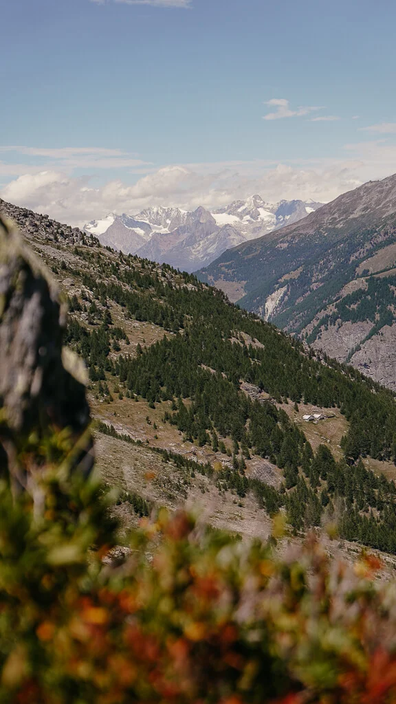 Saastal wandern auf dem Steinwildpfad mit Blick in die Bergwelt