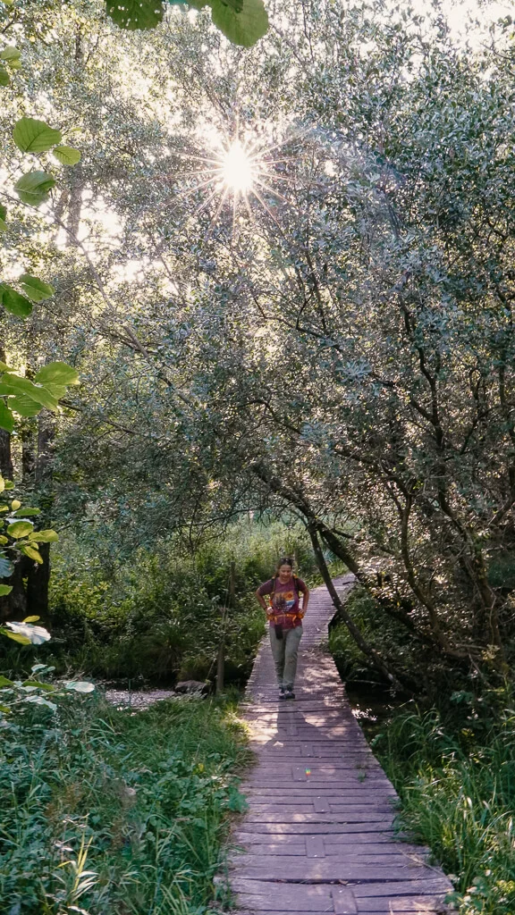 Wandern in Himmerland mit Couchflucht auf dem Steg auf der Mariagerfjord Panoramaroute