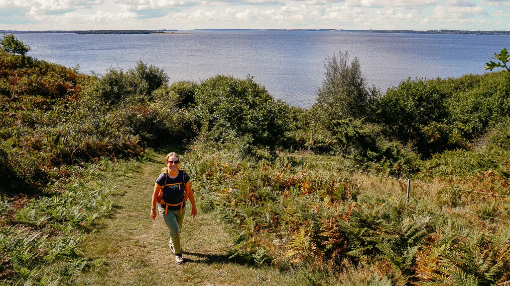 Wandern in Himmerland in Dänemark mit Blick auf den Limfjord an der Louns Halbinsel