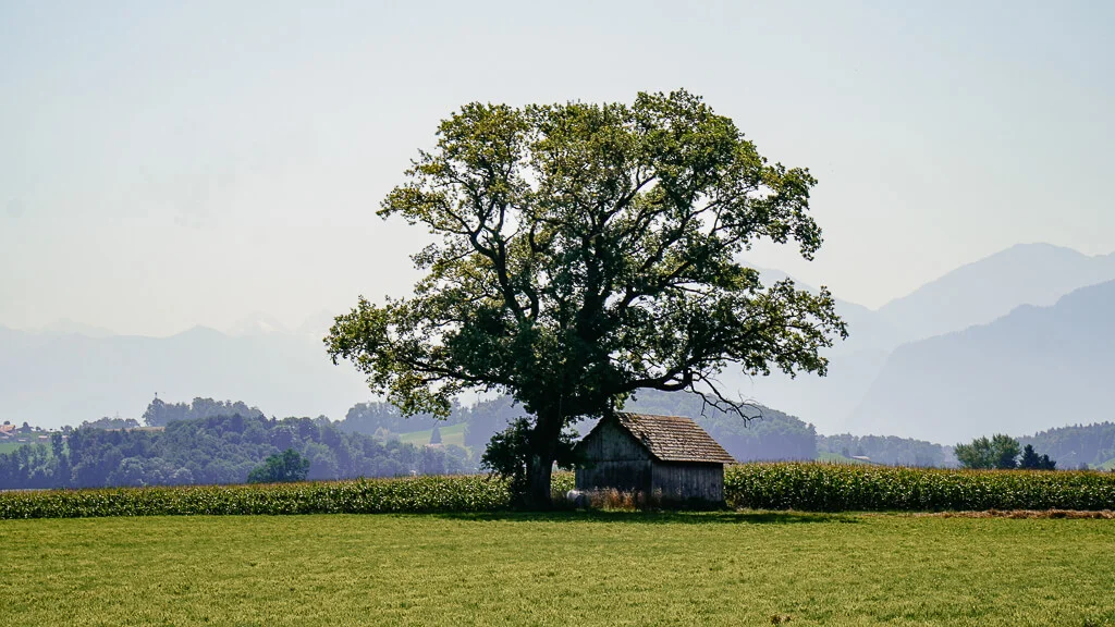 Landschaftsidylle im Naturpark Gantrisch bei der E-Bike Tour