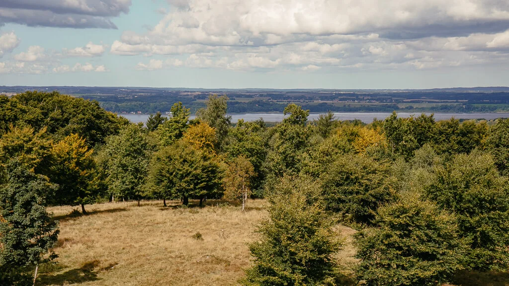Ausblick auf den Mariager Fjord vom Grabhügel Hohøj beim wandern in Himmerland