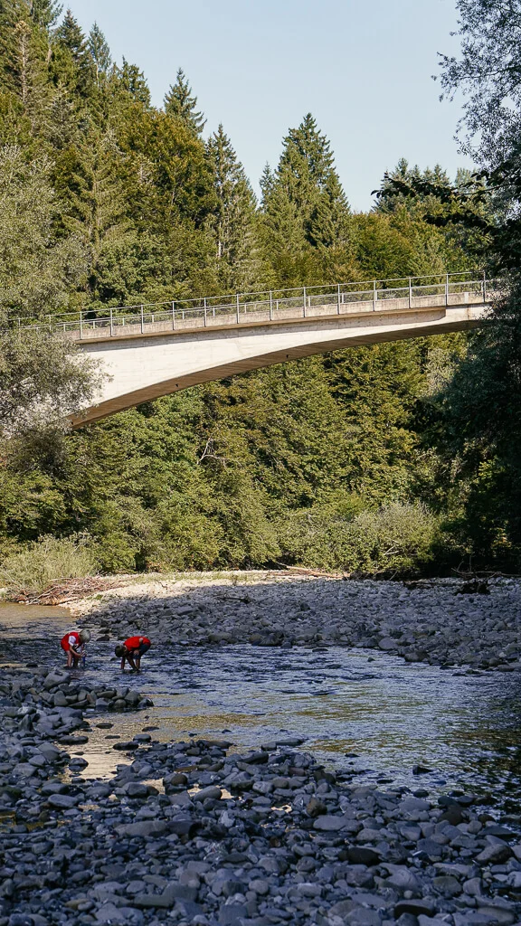 Schwarzwasser und Brücke im Naturpark Gantrisch