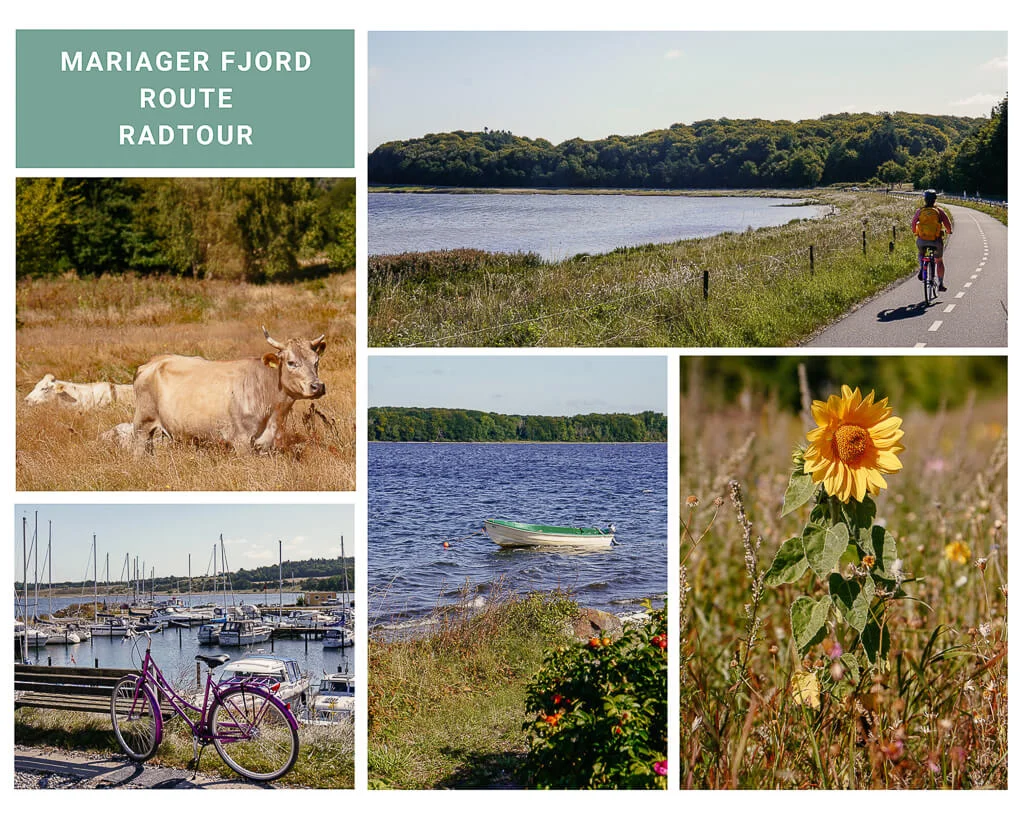 Radtour in Himmerland auf der Mariager Fjord Route
