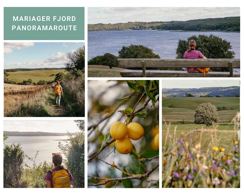 Wandern in Himmerland auf der Mariager Fjord Panoramaroute