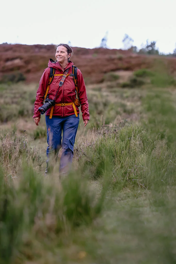 Südjütland - Wandern auf dem Frøslev Polde Wanderweg mit Couchflucht in der Heidelandschaft
