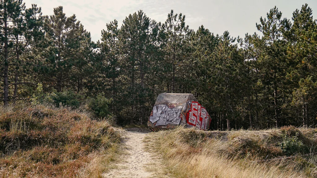 Südjütland/ Sønderjylland Wandern zu den Bunkern in den Dünen auf der Insel Rømø