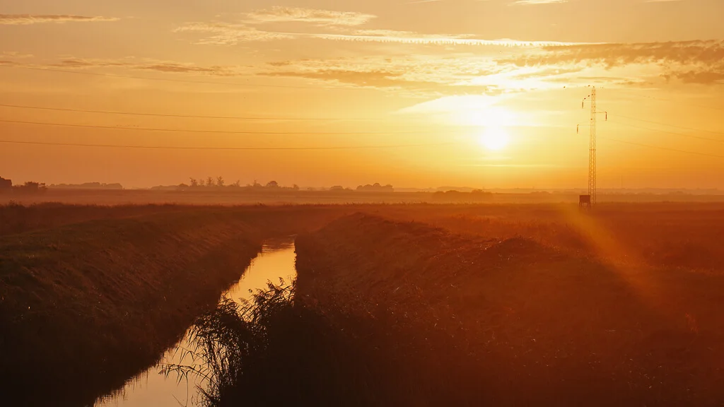Sonnenaufgang in der Marschlandschaft von Højer auf dem Wanderweg Marskstien in Südjütland