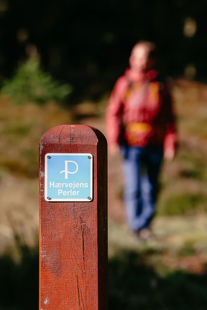 Wandern in Südjütland/ Sønderjylalnd auf dem Frøslev Polde Wanderweg, einem der Hærvejens Perler