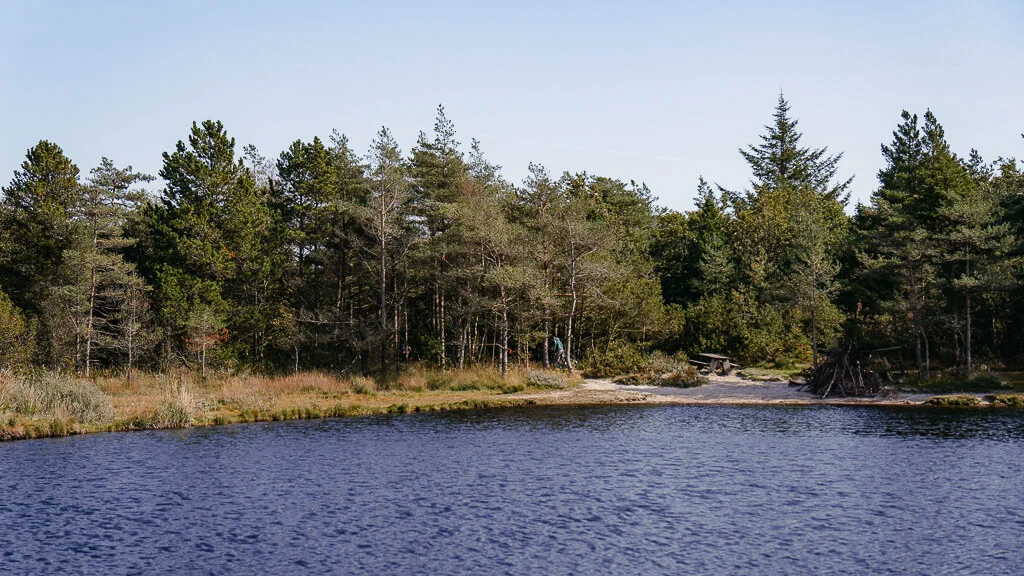 Wandern auf der Insel Rømø am See in der Kirkeby Plantage in Südjütland