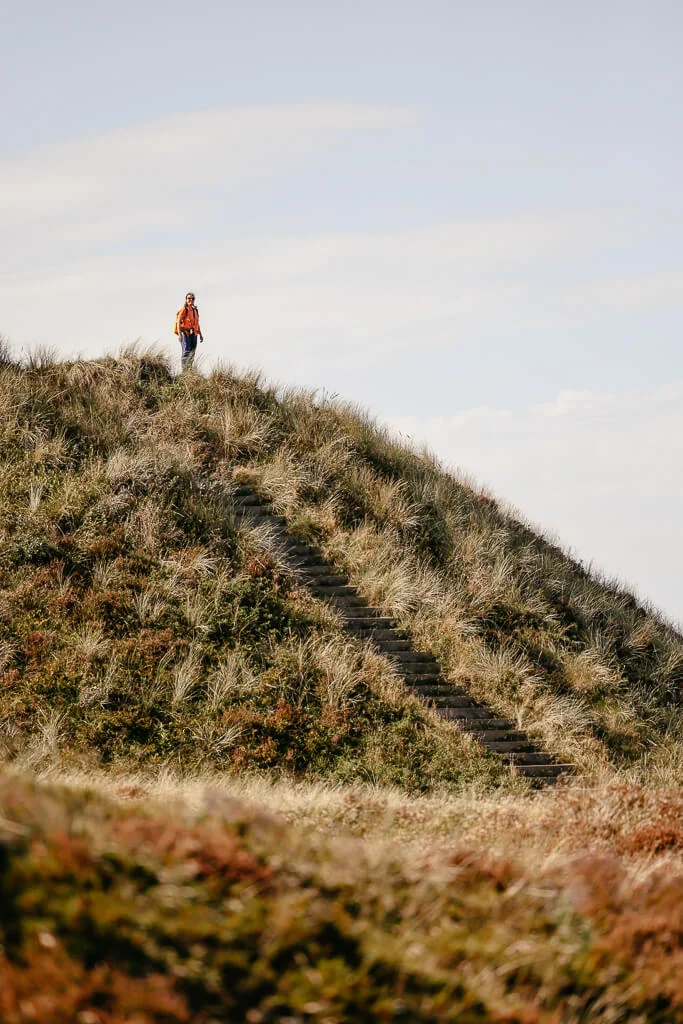 Wandern auf der Insel Rømø in Südjütland auf dem Spidsbjerg