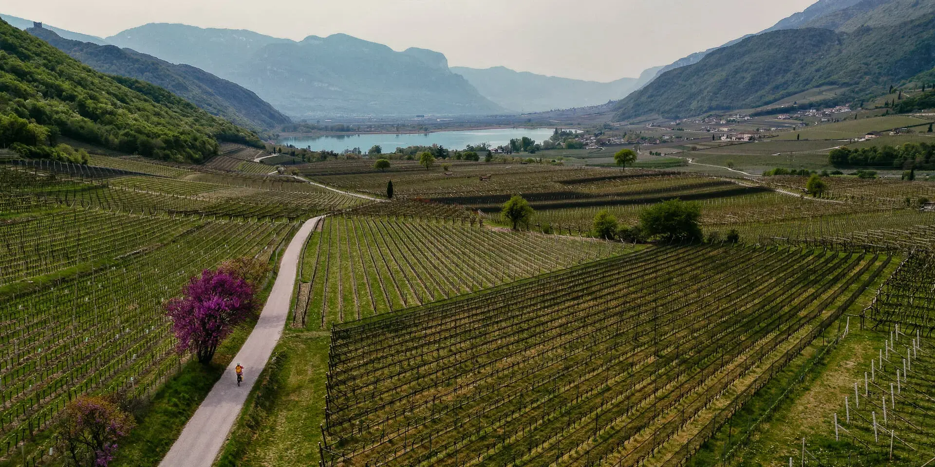 Radreise mit Eurobike Radreisen von Bozen nach Venedig - Zwischen den Weinreben am Kalterer See in Südtirol