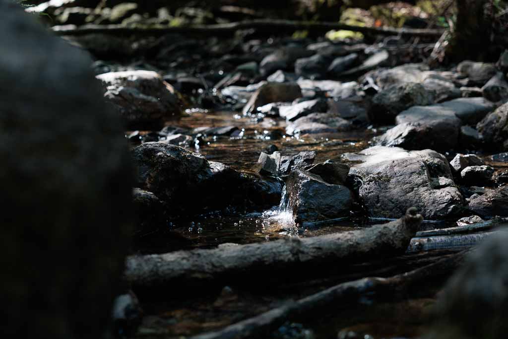 Wanderungen Wallonie - belgische Ardennen