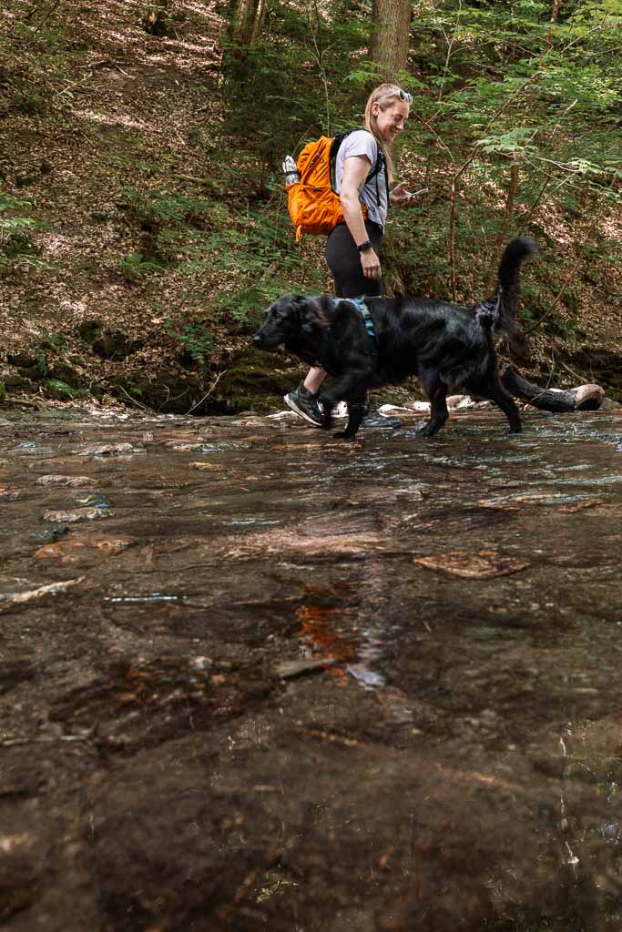 Wanderungen Wallonie - belgische Ardennen