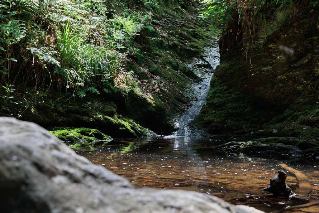 Wallonie Wanderungen in den Ardennen