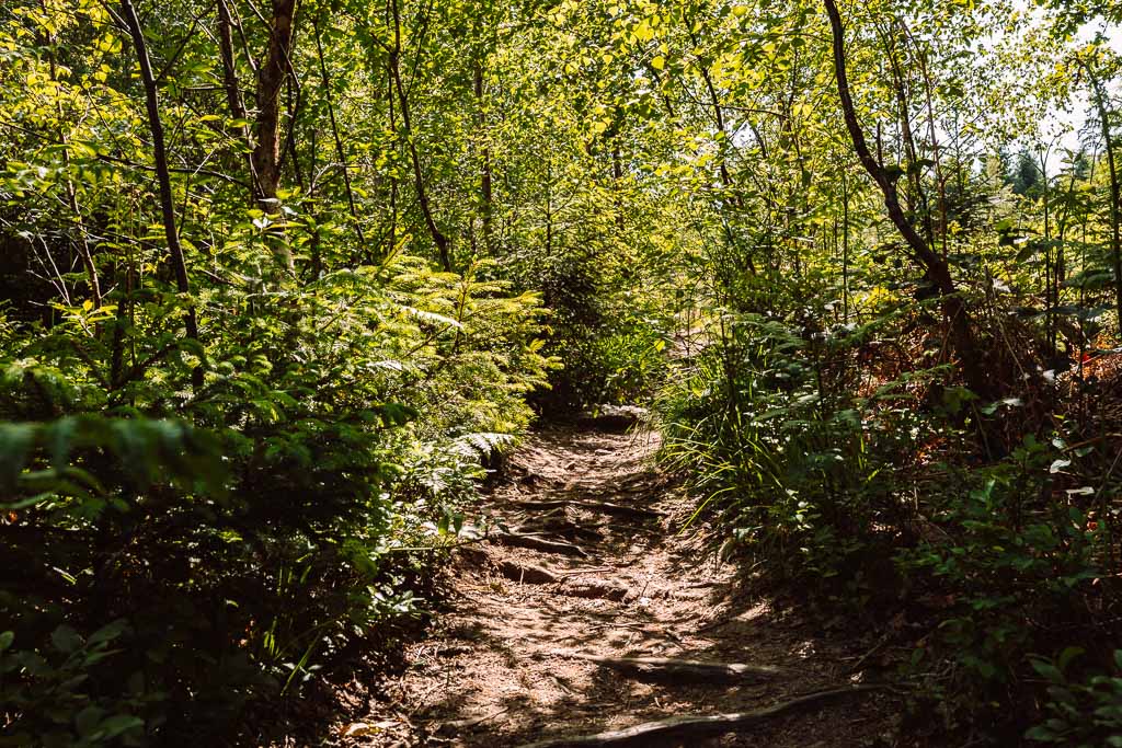 Idyllische Wanderwege in Belgien