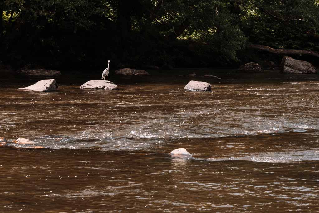 Wallonie Wanderung Ninglinspo, Chefna und Ambl&egrave;ve