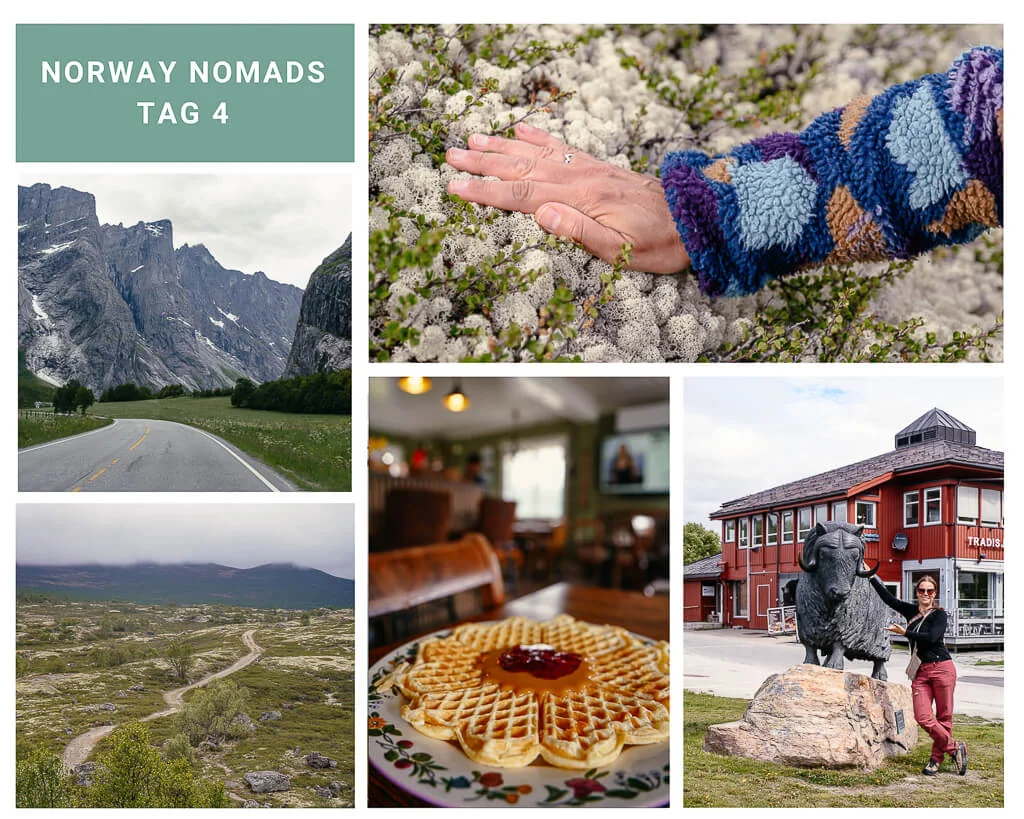 Norwegen Roadtrip Norway Nomads von Travelbase